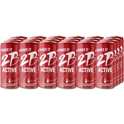 2B ACTIVE Drink 250ml 24er Pack - Natürlicher Power Booster - Mehrfrucht-Funktionsgetränk mit Süßungsmittel und 50 Prozent Fruchtanteil - ohne Zuckerzusatz