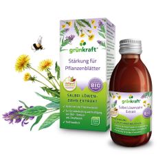 Salbei Löwenzahn Pflanzen Extrakt 200ml von Grünkraft