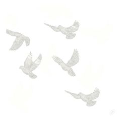 Bio ServTrauerSoftWings40x40 60ct von Duni