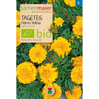 Bio Tagetes Primo Yellow - Saatgut für zirka 50 Pflanzen