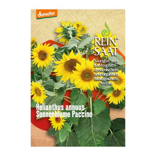 Bio Sonnenblume Paccine Saatgut - 1 Beutel - 5er Vorteilspack von Reinsaat