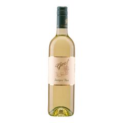 Bio Sauvignon Blanc Kabinett 2024 750ml von Graf