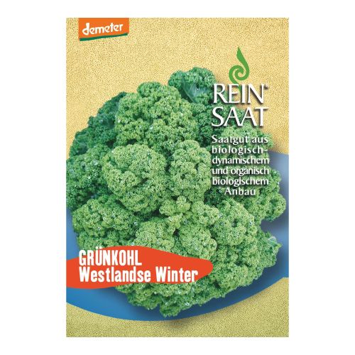 Bio Grünkohl Westlandse Winter Saatgut - 1 Beutel - 5er Vorteilspack von Reinsaat