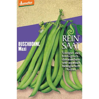 Bio Buschbohnen Maxi Saatgut - 1 Beutel - 5er Vorteilspack von Reinsaat