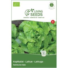Bio Kopfsalat Maikönigin 4.1g Saatgut von Living Seeds