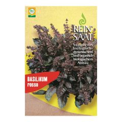 Bio Basilikum Rosso Saatgut - 1 Beutel - 5er Vorteilspack von Reinsaat