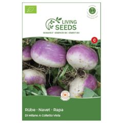 Bio Mairübe Di Milano a colletto viola 6.1g Saatgut von Living Seeds