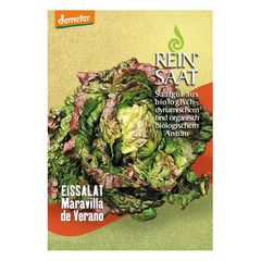 Bio Salat Maravilla deVerano - 5er Vorteilspack von Reinsaat