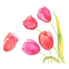 ServiettenPaintTulips4lg.40x40 50ct von Duni
