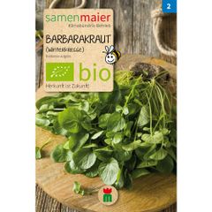 Bio Barbarakraut - Winterkresse - Saatgut für zirka 150 Pflanzen