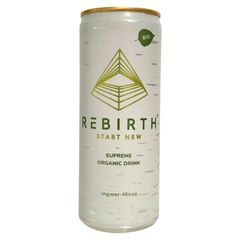 Bio Rebirth Drink Ingwer Minze EW 250ml - 24er Vorteilspack von Rebirth