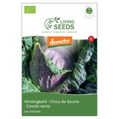 Bio Kohl S. Michele 4.1g Saatgut von Living Seeds