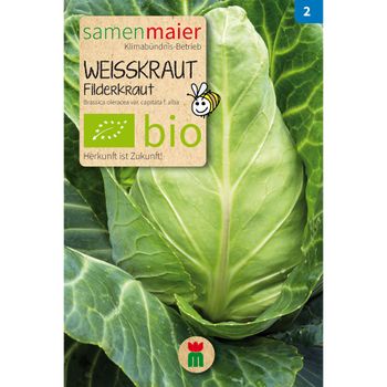 Bio Weißkraut Spitz- Filderkraut - Saatgut für zirka 25 Pflanzen
