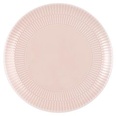 Amina Teller rose von Seltmann