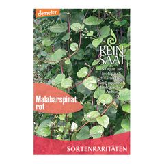 Organic Red Malabar Spinach Seeds – 5-pack value pack from Reinsaat