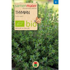 Bio Thymian - 0.3 g Saatgut