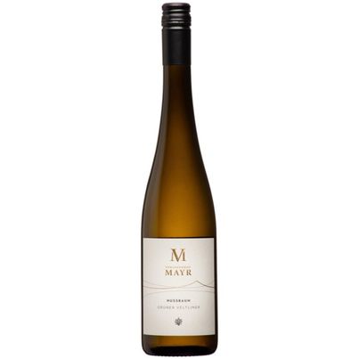 Grüner Veltliner Nussbaum 2024 750ml von Vorspannhof Mayr