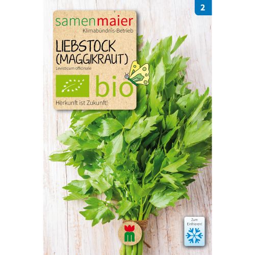 Bio Liebstock -Maggikraut - Saatgut für zirka 20 Pflanzen