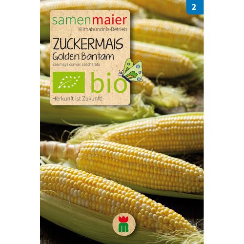 Bio Zuckermais Golden Bantam - Saatgut für zirka 12 Pflanzen