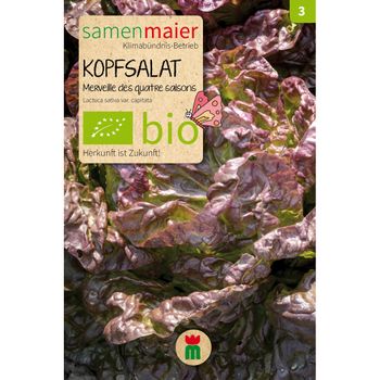 Bio Kopfsalat Merveille des quatre saisons - Saatgut für zirka 100 Pflanzen