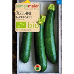 Bio Zucchini Black Beauty - Saatgut für zirka 5 Pflanzen