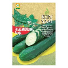 Bio Salatgurke Tanja - 5er Vorteilspack von Reinsaat