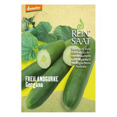 Bio Gurke Gergana Samen - 5er Vorteilspack von Reinsaat
