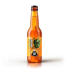 Hopfenauflauf Pale Ale Bier 330ml - vollmundiger Geschmack - fruchtige Aromen - unfiltriert - naturbelassenes Bier von Brew Age