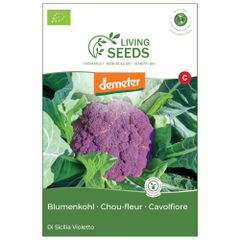 Bio Blumenkohl Di Sicilia 4.1g Saatgut von Living Seeds