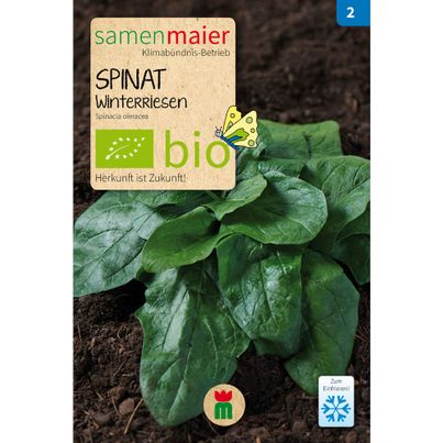 Bio Spinat Winterriesen - 5 g Saatgut