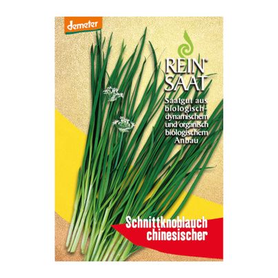 Bio Schnittknoblauch chinesisch Saatgut - 1 Beutel - 5er Vorteilspack von Reinsaat