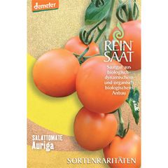 Bio Tomate Auriga - 5er Vorteilspack von Reinsaat
