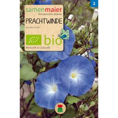 Bio Prachtwinde blau - Saatgut für zirka 8 Pflanzen