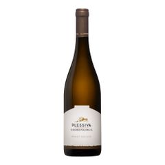 Pinot Grigio 2023 750ml from Polencic Isidoro