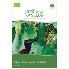 Bio Gurke Pepino La Diva 5.05g Saatgut von Living Seeds