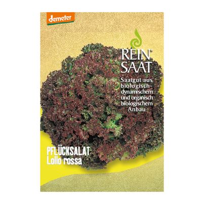 Bio Pflücksalat Lollo Rossa Saatgut - 1 Beutel - 5er Vorteilspack von Reinsaat