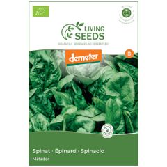 Bio Spinat Matador 13.6g Saatgut von Living Seeds