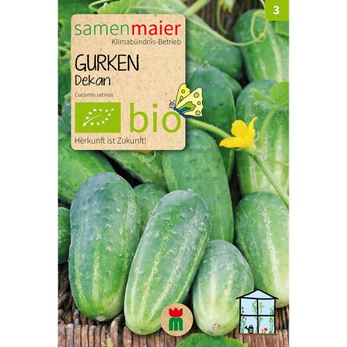 Bio Gurken Dekan - 11 Korn Saatgut