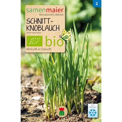 Bio Schnittknoblauch - Saatgut für zirka 30 Pflanzen