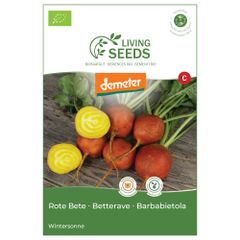 Bio Rote Bete Wintersonne 6.6g Saatgut von Living Seeds