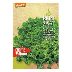 Organic Wallonne Endive – 5-pack value pack from Reinsaat