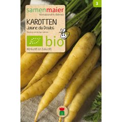 Bio Karotten Jaune du Doubs - Saatgut für zirka 300 Pflanzen
