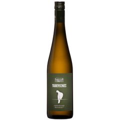Bio Grüner Veltliner Poysdorf 2024 750ml von Taubenschuss