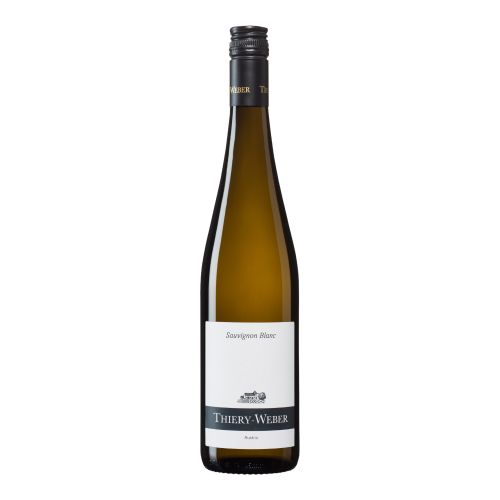 Bio Sauvignon Blanc 2023 750ml - Weißwein von Weingut Thiery-Weber