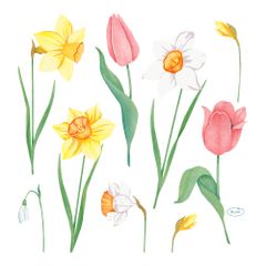 Servietten Spring M. 3lg 33x33 50ct von Duni