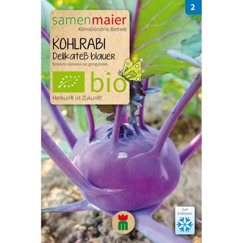 Bio Kohlrabi Delikatess blauer - Saatgut für zirka 50 Pflanzen