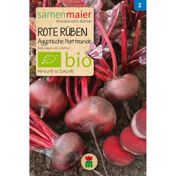 Bio Rote Rüben Ägyptische Plattrunde - Saatgut für zirka 70 Pflanzen