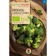 Bio Brokkoli Calabrese natalino - Saatgut für zirka 20 Pflanzen