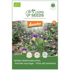 Bio Wildes Stiefmütterchen 3.9g Saatgut von Living Seeds