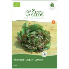 Bio Kopfsalat Pirat 4.1g Saatgut von Living Seeds